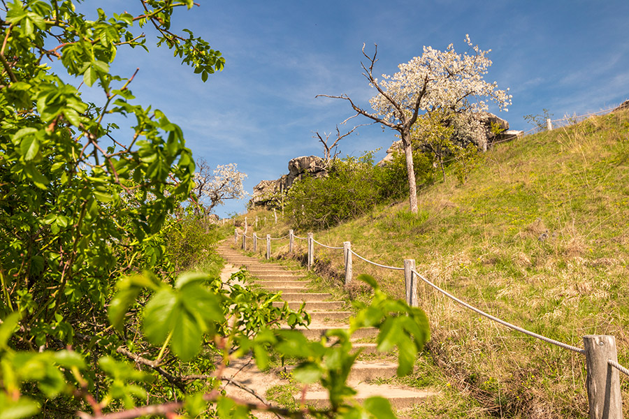 Fotografie: Die Teufelsmauer im Harz kommt in Sicht