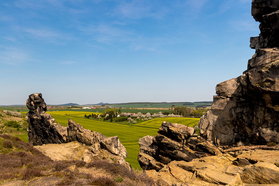 Fotografie: Rapsfeldblüte zur goldenen Stunde